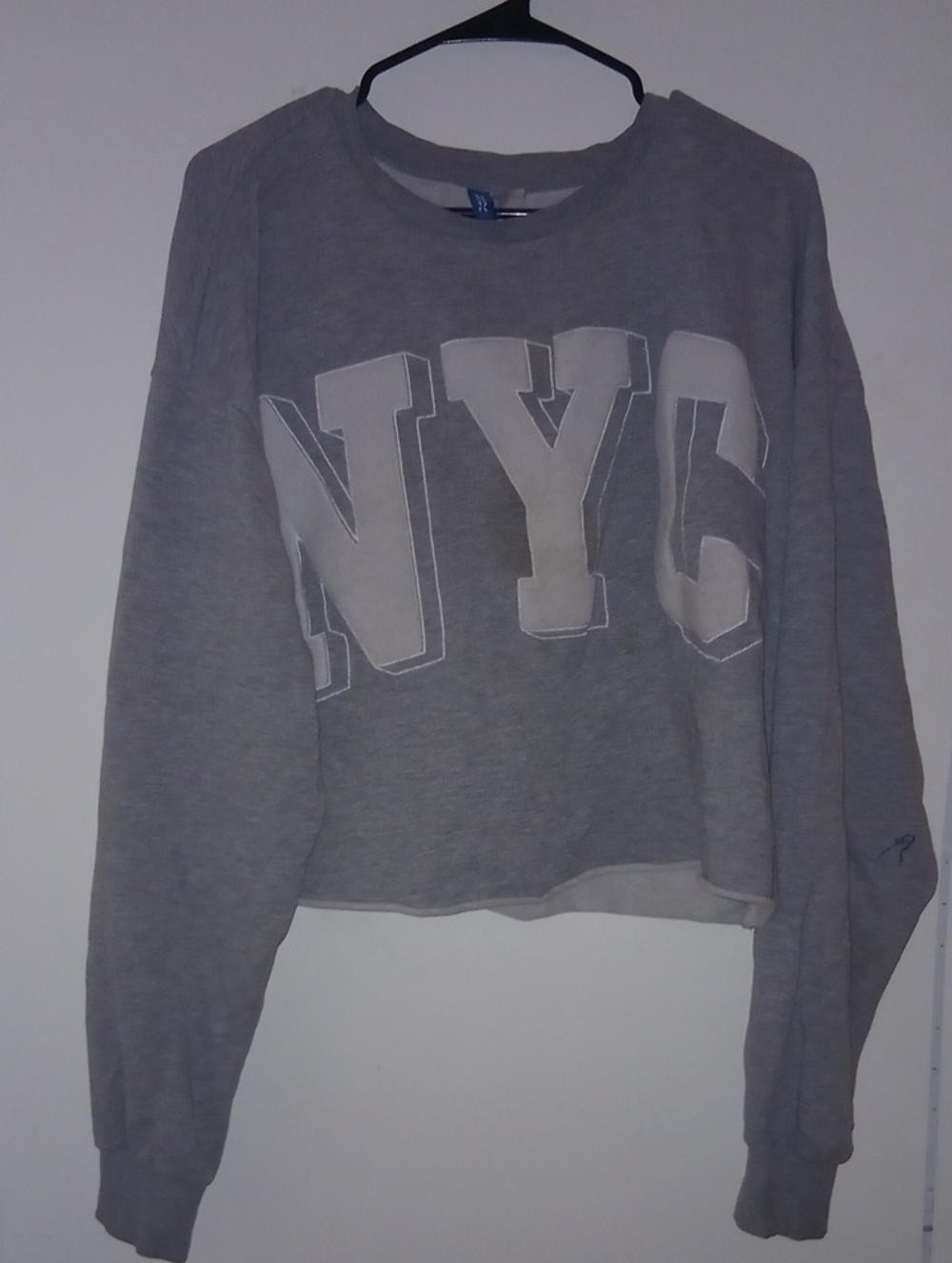 DIVIDED NYC Grey Crewneck Cropped Sweatshirt - Women Xl
